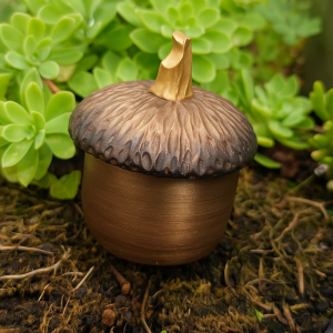 Boite trésor de la nature