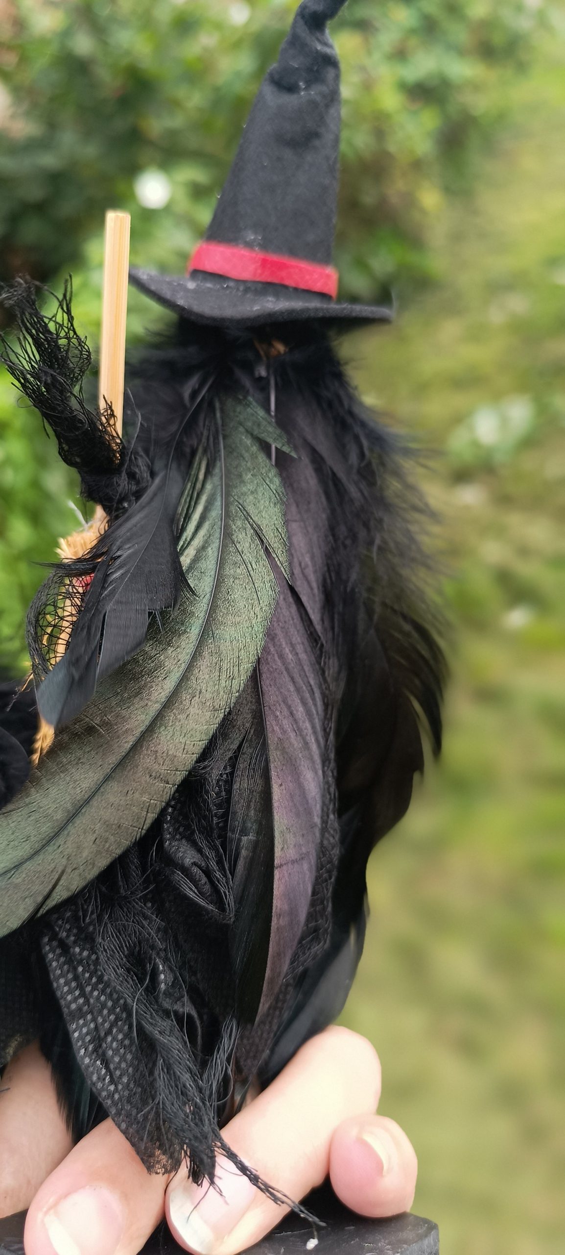 La gardienne de l'ombre - Corvina – Image 2