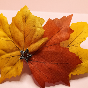 barrette magie d'automne